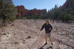 Grant steps on something in casto canyon [sat may 13 09:27:55 mdt 2017]